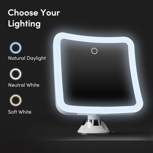 Fancii Rechargeable 10x Magnifying Mirror