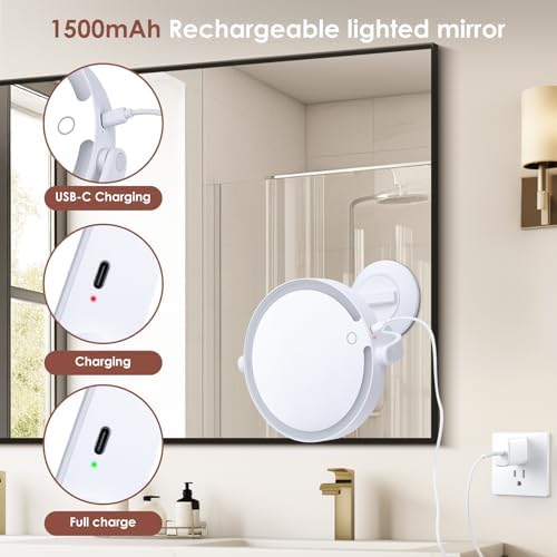 1X 10X Magnifying Shower Mirror with Lights