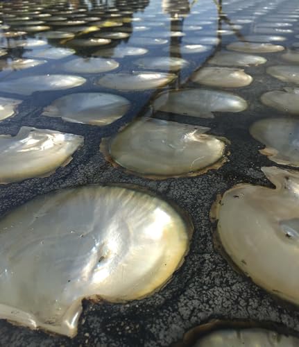 Epoxy King - Marine Grade Epoxy Resin