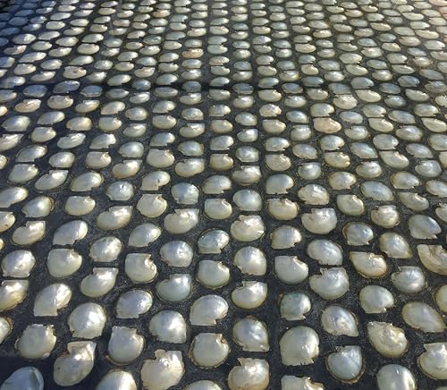 Epoxy King - Marine Grade Epoxy Resin
