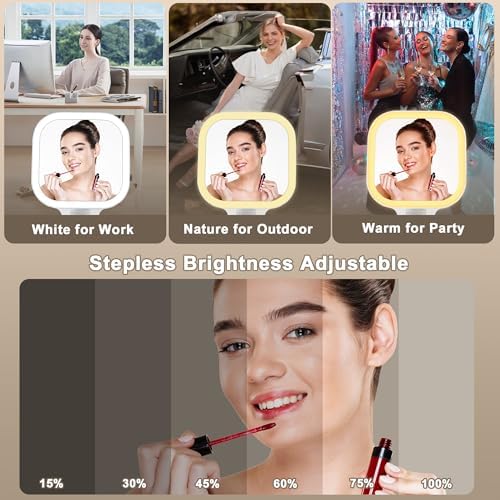 Wayleeos Travel Makeup Mirror with Lights